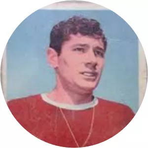 Pedro Prospitti