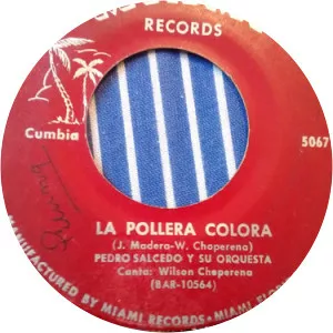 Pedro Salcedo - Musical artist