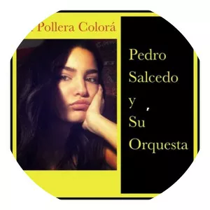 Pedro Salcedo y Su Orquesta - Musical group
