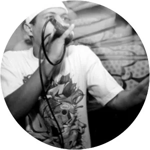 biorki pedro vuks - Musical artist