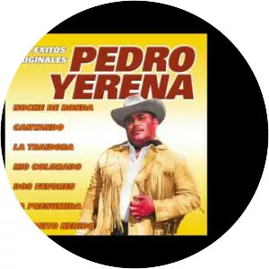 Pedro Yerena - Musical artist