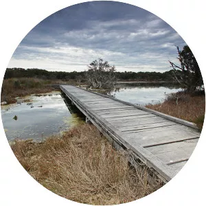 Peel-Harvey Estuary - 