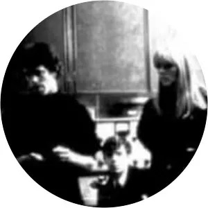 Peel Slowly and See - Album by The Velvet Underground