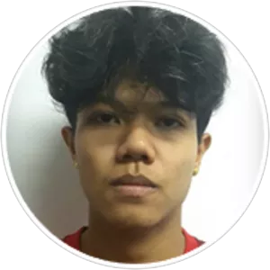 Peerapong Panyanumaporn