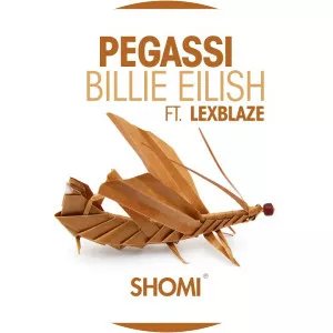 Pegassi - Musical artist