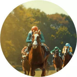 Pegasus World Cup Horse Racing