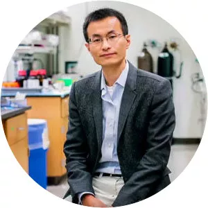 Peidong Yang - American chemist