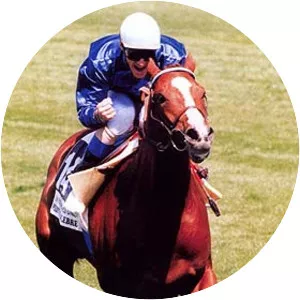 Peintre Celebre (Peintre Célèbre)