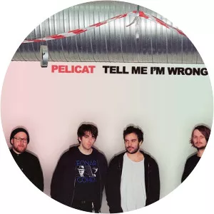 Pelicat - Musical artist