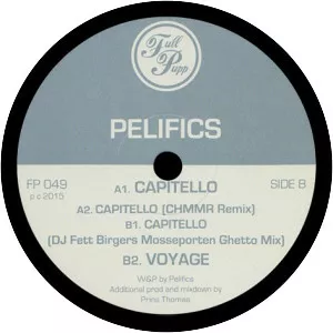 Pelifics - Musical artist