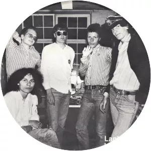 Pelle Miljoona & 1980