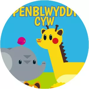 Penblwyddi Cyw - TV program