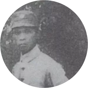 Peng Mingzhi - Chinese diplomat