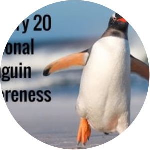 Penguin Awareness Day