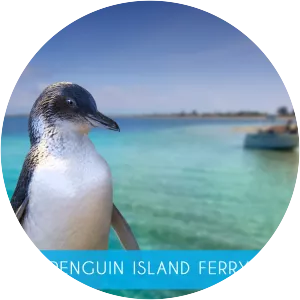 Penguin Island - 
