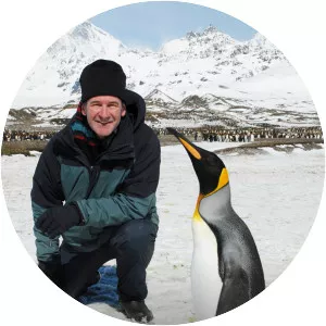 Penguin Safari - TV program