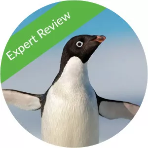 Penguins: Review - TV program