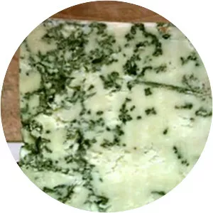 Penicillium roqueforti