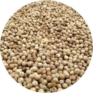 Penja white pepper - 