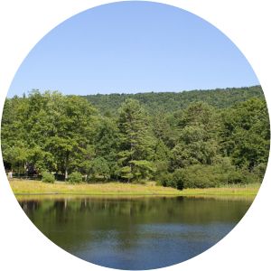 Penn-Roosevelt State Park