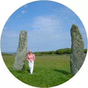 Penrhos Feilw Standing Stones - 