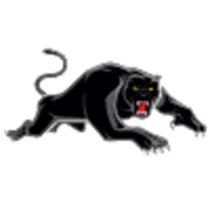 Penrith Panthers