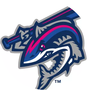 Pensacola Blue Wahoos
