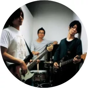 People in the Box - Musical band