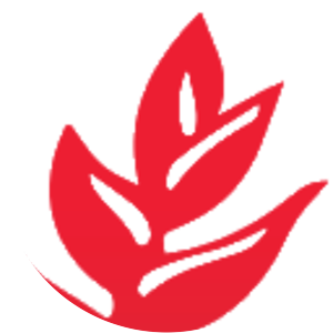 People's National Movement