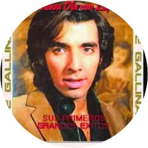 Pepe Gallinato - Musical artist