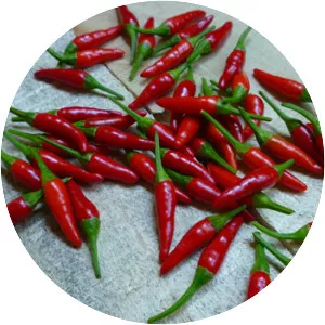 Pequin pepper - Plants