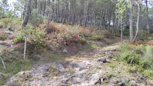 Percurso Pedestre Caminho dos Mortos  - Hiking area in Portugal