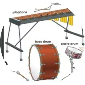 Percussion (Perküsyon)