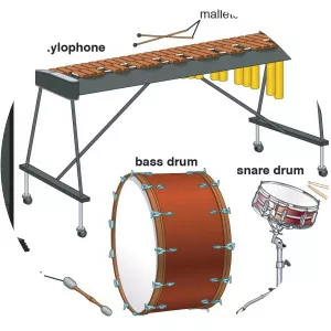 Percussion - Musical instrument