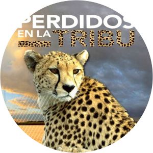 Perdidos enla Tribu