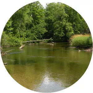 Pere Marquette River - River in Michigan