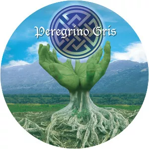 Peregrino Gris - Musical artist