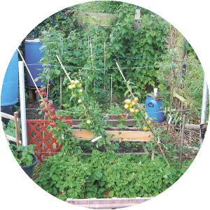 Permaculture - 