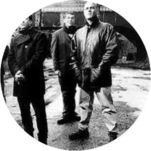 Pernice Brothers - Rock band