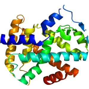 Peroxisome proliferator-activated receptor alpha - Protein