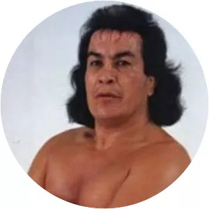 Perro Aguayo