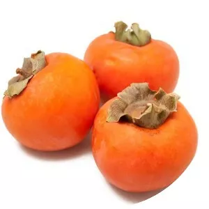 Persimmons - Fruit