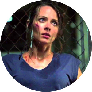 Person of Interest Aletheia