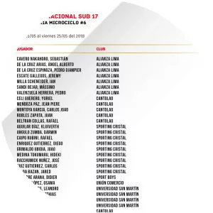 Peru national under-17 football team