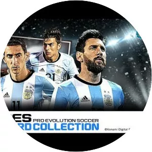 PES CARD COLLECTION