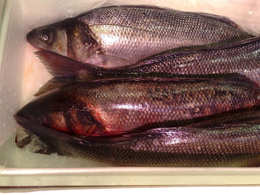 PESCADOS CHIVITE, S.L.