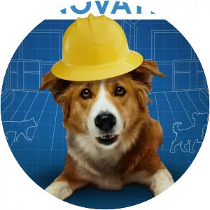 Pet Nation Renovation