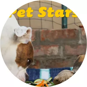 Pet StarsSince 2021