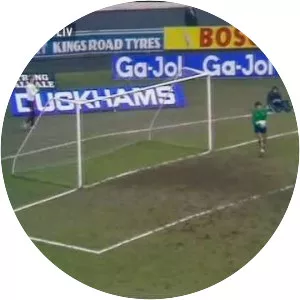 Petar Borota - Footballer