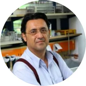 Petar Tomev Mitrikeski